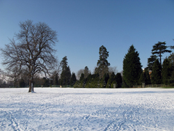 Snow Gallery