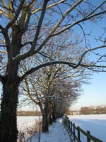 Path By Seasons