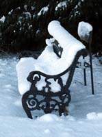 Snowy Seat